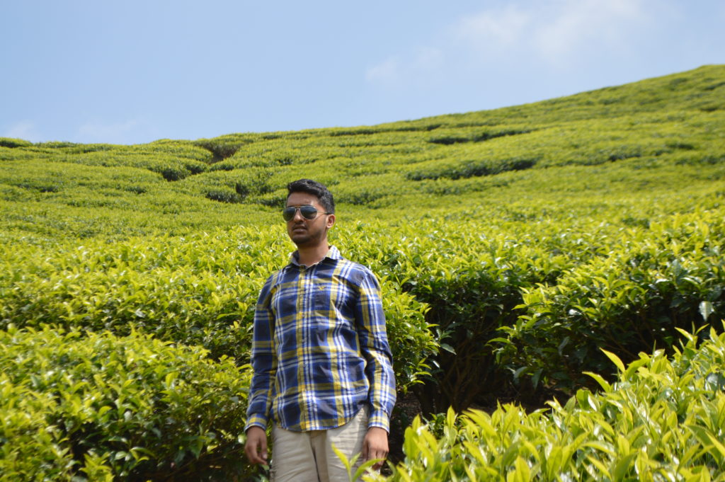 Walking through the rows of tea up in the Kolukkumalai tea estate in Kerala