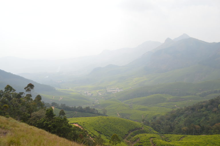 Overlooking the estate from the highest poin