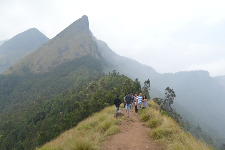 A nice walking trail allows you to see the surrounding nature around the estate