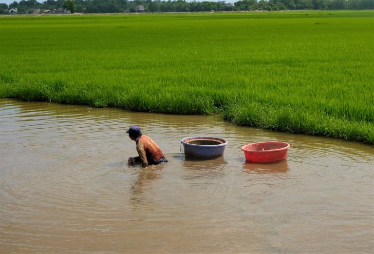 A man walks through water as he carries his snail basket