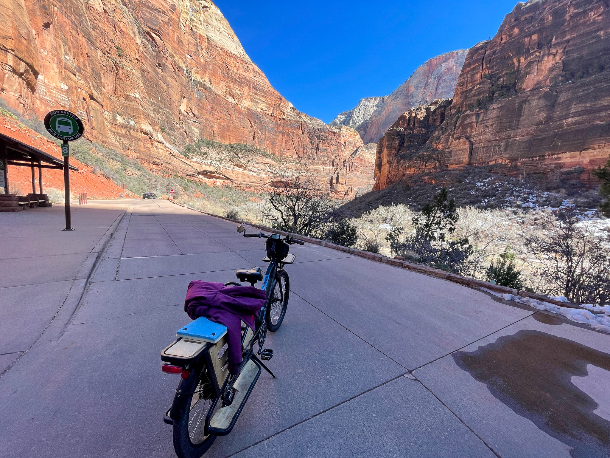 You are currently viewing How to Get Around Zion