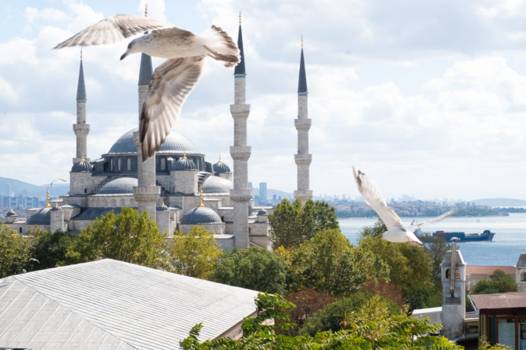 Bird Passes by Blue Mosque